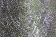 Thringstone fibreglass roof work